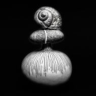 A Peter Bertha   Vase
